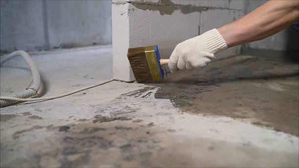 SJ Waterproofing Pros Waterproofing coverage map for Bon Aqua, TN and surrounding area